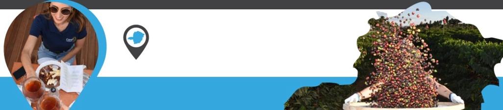 Capa da coleção Check-in Negócios